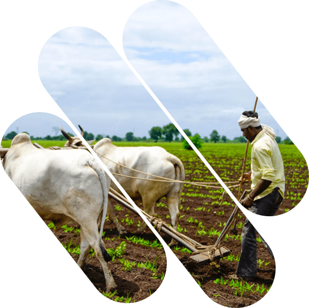 Agriculture