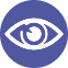 Vision